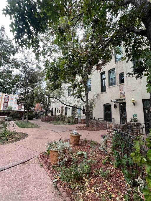Affordable & Chic Rino/Lodo/Dtown Loft- Walkable Apartment Denver Bagian luar foto
