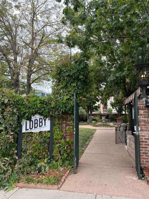 Affordable & Chic Rino/Lodo/Dtown Loft- Walkable Apartment Denver Bagian luar foto